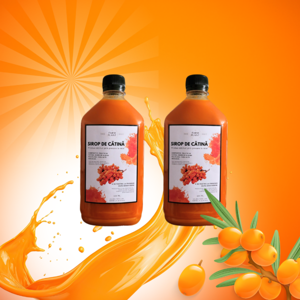Sirop de Cătină Presat la Rece cu Miere - Întărirea Imunității | Natural și Eficient - imagine 2